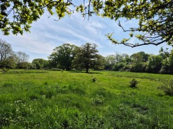 Images for Cransford, Nr Framlingham