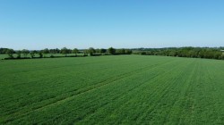 Images for Clopton, Nr Woodbridge