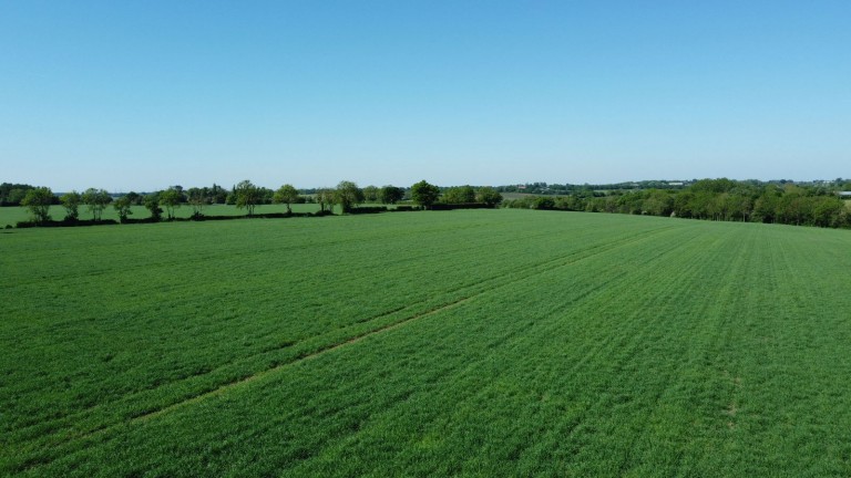 Images for Clopton, Nr Woodbridge