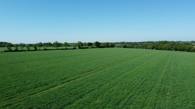 Click the photo for more details of Clopton, Nr Woodbridge