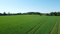 Images for Clopton, Nr Woodbridge