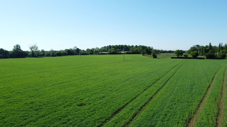 Images for Clopton, Nr Woodbridge