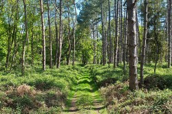 Images for Nacton, Nr Ipswich