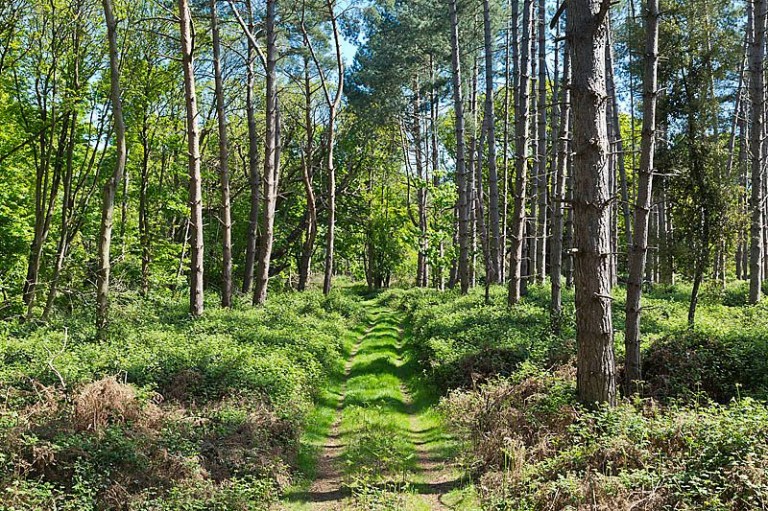 Images for Nacton, Nr Ipswich