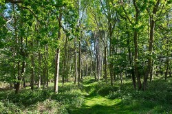 Images for Nacton, Nr Ipswich