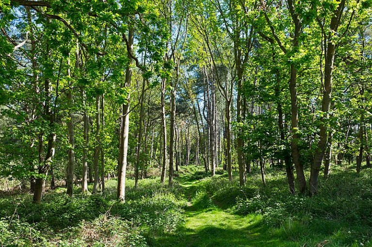 Images for Nacton, Nr Ipswich
