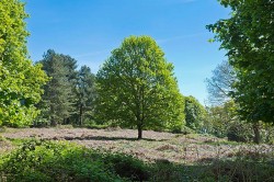 Images for Nacton, Nr Ipswich
