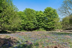 Images for Nacton, Nr Ipswich