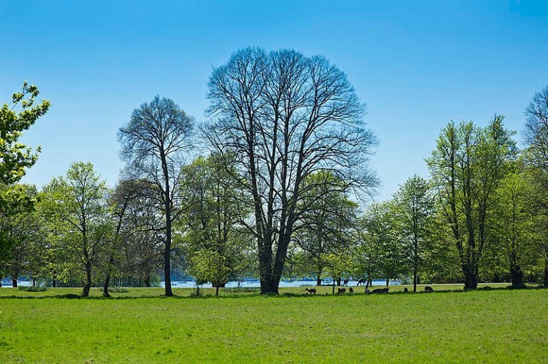 Images for Nacton, Nr Ipswich