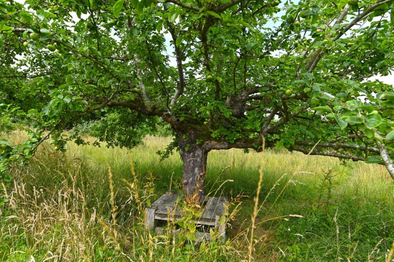 Images for Framlingham, Suffolk