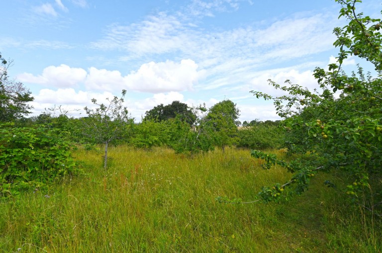 Images for Framlingham, Suffolk