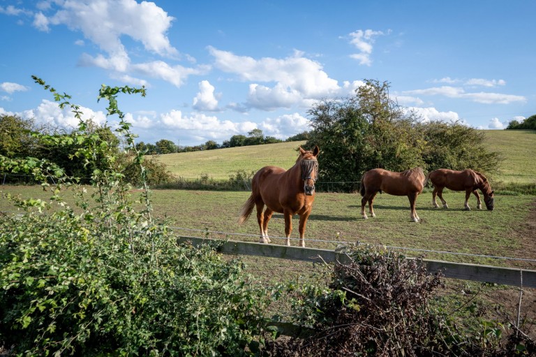 Images for Little Blakenham, Ipswich, Suffolk