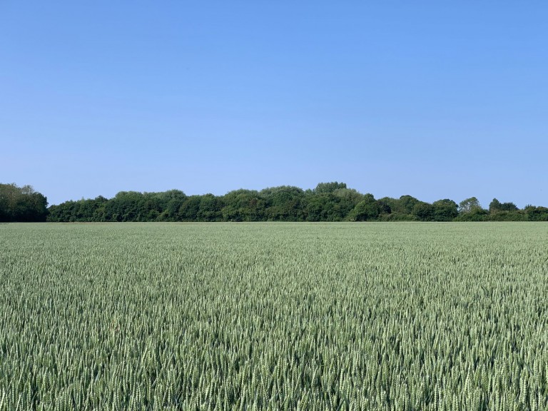 Images for Land at Laxfield