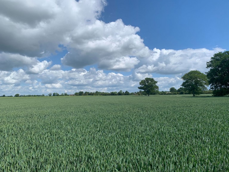 Images for Land at Laxfield