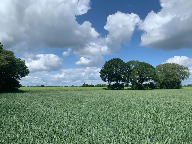 Images for Land at Laxfield