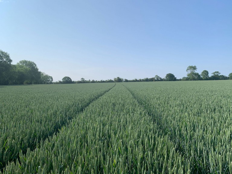 Images for Land at Laxfield
