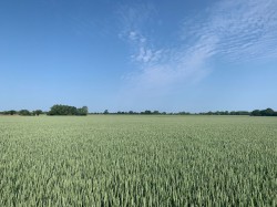 Images for Land at Laxfield