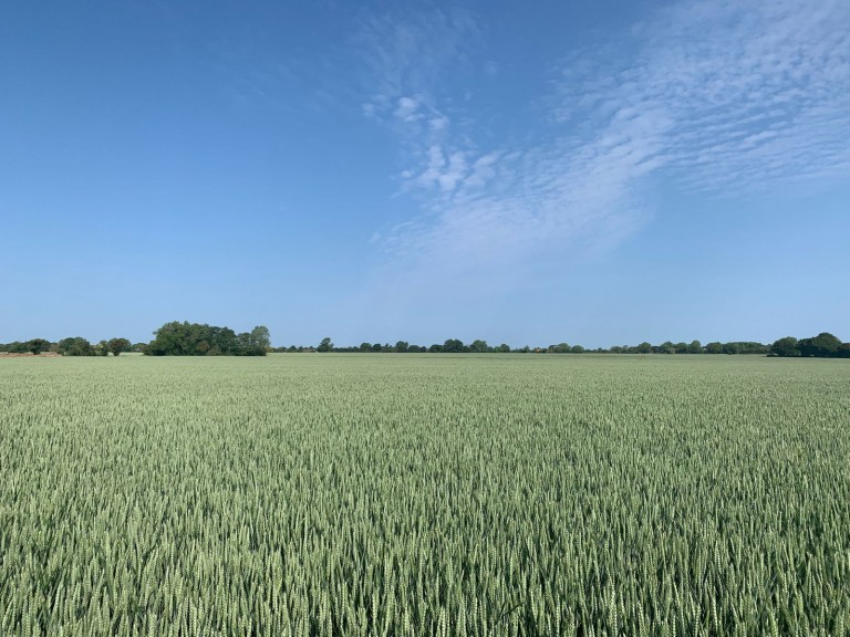 Images for Land at Laxfield