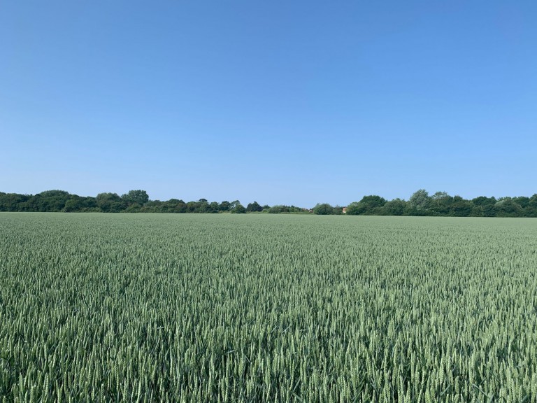 Images for Land at Laxfield