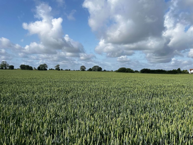 Images for Land at Gislingham