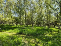 Images for Melton, Nr Woodbridge, Suffolk