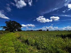 Images for 13.57 acres - land at Somersham, Nr Ipswich, Suffolk 