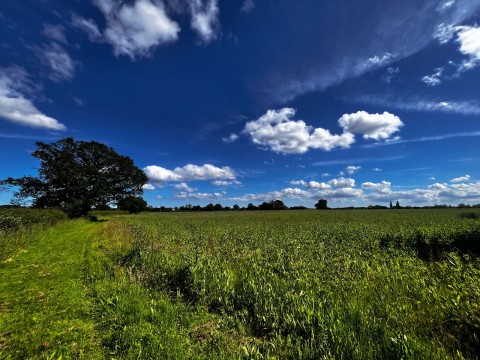Click the photo for more details of 13.57 acres - land at Somersham, Nr Ipswich, Suffolk 