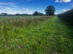 Images for 13.57 acres - land at Somersham, Nr Ipswich, Suffolk 