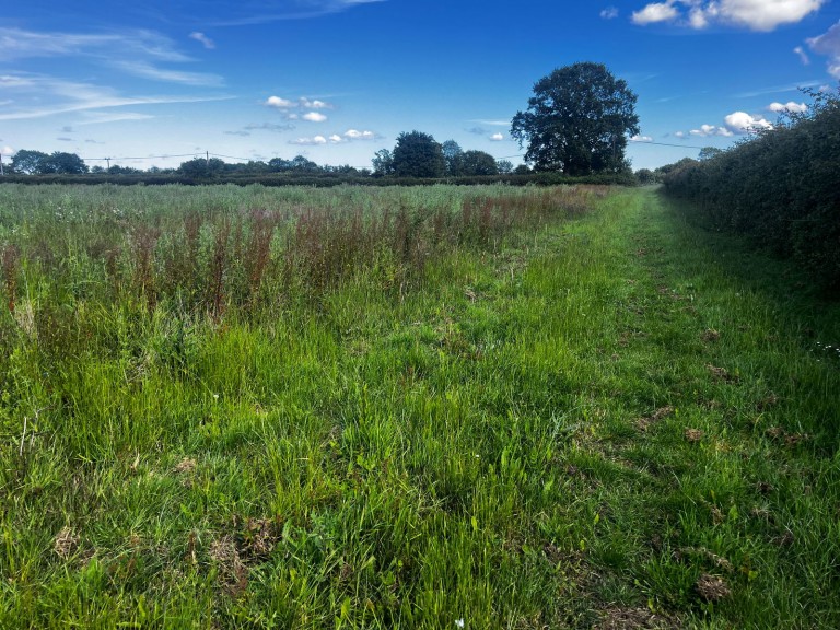 Images for 13.57 acres - land at Somersham, Nr Ipswich, Suffolk 