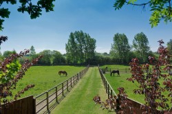 Images for Linstead, Near Halesworth, Suffolk