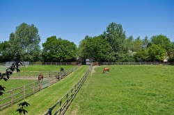 Images for Linstead, Near Halesworth, Suffolk