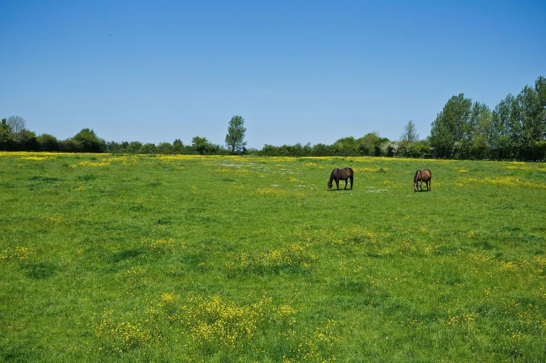 Images for Linstead, Near Halesworth, Suffolk
