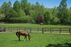 Images for Linstead, Near Halesworth, Suffolk