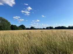 Images for Stradbroke, Nr Eye, Suffolk