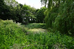 Images for Stradbroke, Nr Eye, Suffolk