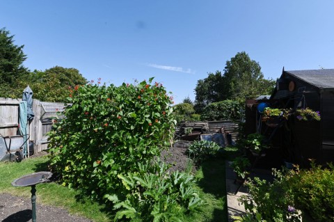Click the photo for more details of Debach, Nr Woodbridge, Suffolk