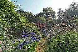 Images for Wissett, Near Halesworth