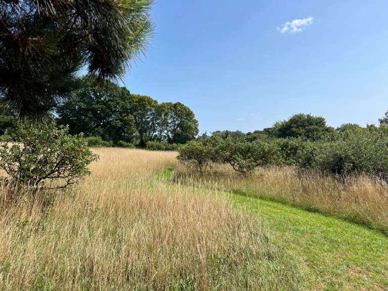 Images for Wissett, Near Halesworth