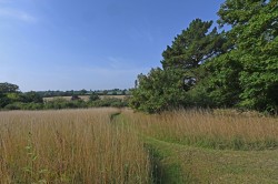 Images for Wissett, Near Halesworth