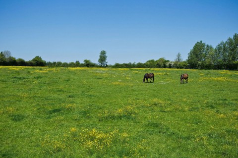 Click the photo for more details of Linstead, Near Halesworth, Suffolk