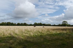 Images for Laxfield, Nr Framlingham, Suffolk
