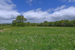 Images for Hoxne, Nr Diss