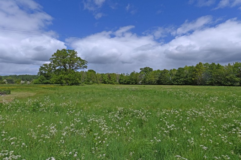 Images for Hoxne, Nr Diss