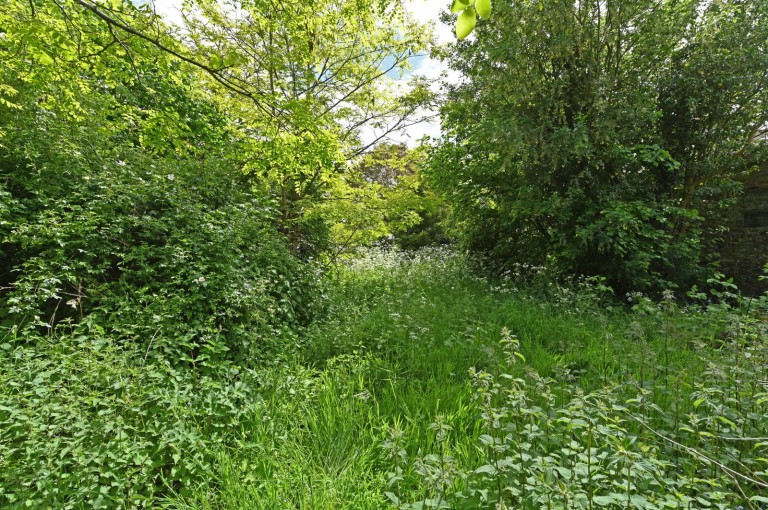 Images for Halesworth, Suffolk