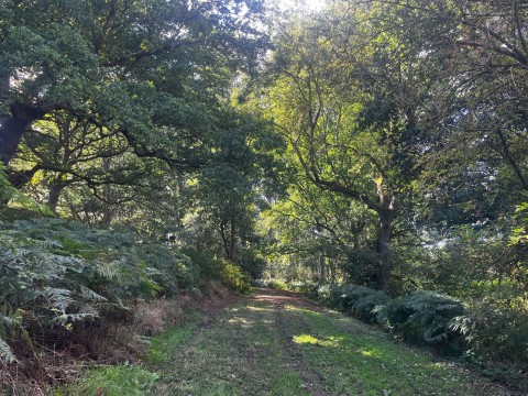 Click the photo for more details of Land at Wangford, nr Southwold