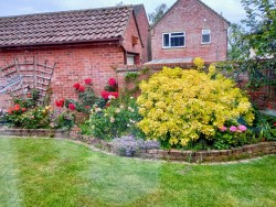 Images for Fressingfield Nr Eye