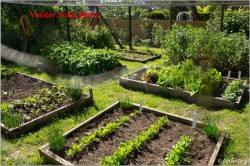 Images for Hacheston, Nr Framlingham