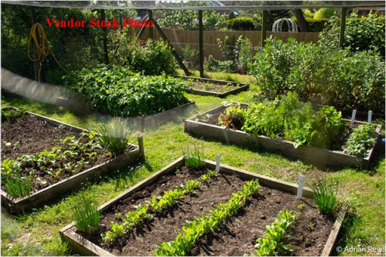 Images for Hacheston, Nr Framlingham