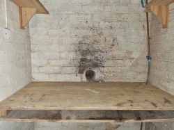 Images for Boyton, Nr Woodbridge, Suffolk