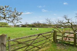 Images for Dallinghoo